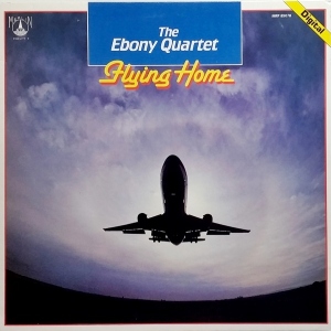 Flying Home Image