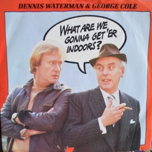 What Are We Gonna Get 'Er Indoors? Image