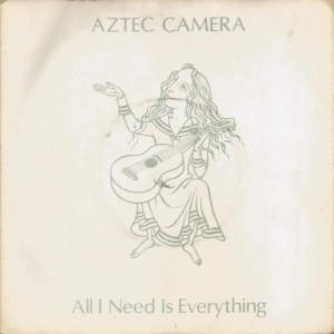 All I Need Is Everything Image