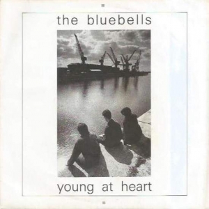 Young At Heart Image