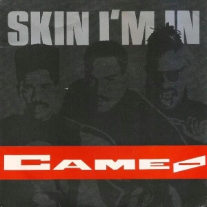 Skin I'm In Image