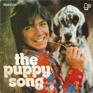 Daydreamer / The Puppy Song Image