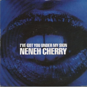 I've Got You Under My Skin Image
