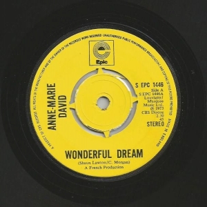 Wonderful Dream Image
