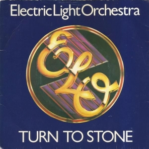 Turn To Stone Image