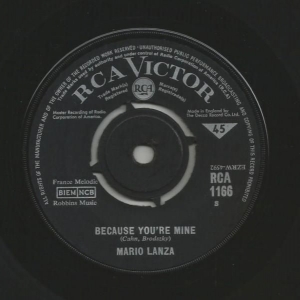 Because You're Mine Image