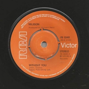 Without You Image