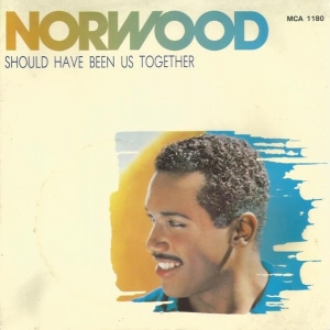 Should Have Been Us Together Image