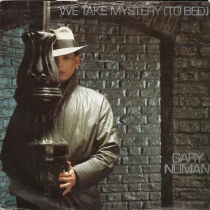 We Take Mystery (To Bed) Image
