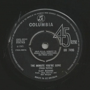 The Minute You're Gone Image