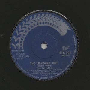 The Lightning Tree Image