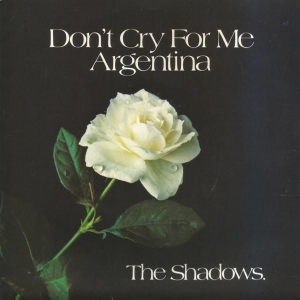Don't Cry For Me Argentina Image