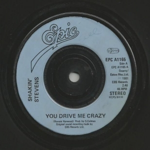 You Drive Me Crazy Image