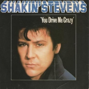 You Drive Me Crazy Image
