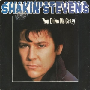 You Drive Me Crazy Image