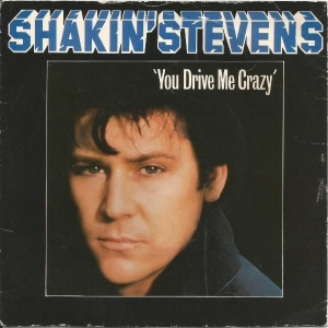 You Drive Me Crazy Image