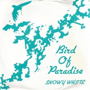 Bird Of Paradise Image