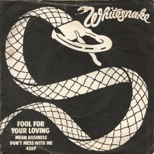 Fool For Your Loving Image