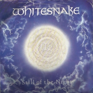 Still Of The Night Image