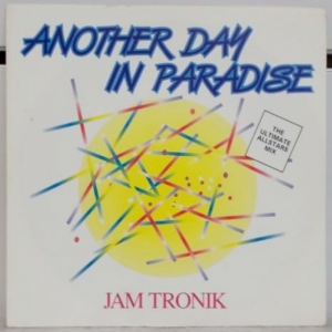 Another Day In Paradise Image