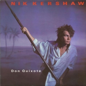 Don Quixote Image