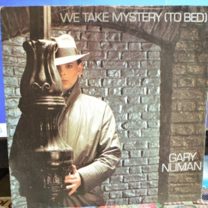We Take Mystery (To Bed) Image