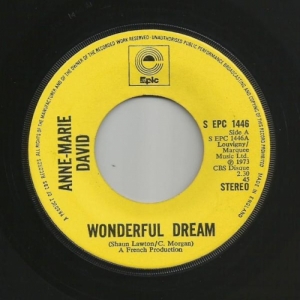 Wonderful Dream Image