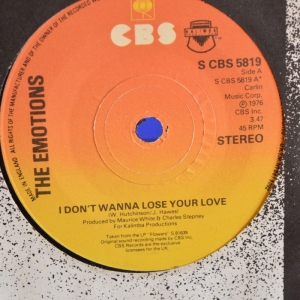 I Don't Wanna Lose Your Love Image