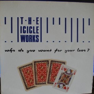 Who Do You Want For Your Love? Image