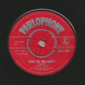 What Do You Want? Image