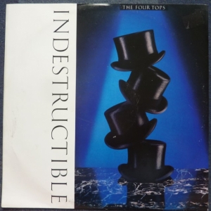 Indestructible Image