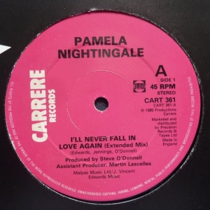 I'll Never Fall In Love Again (Extended Mix) Image