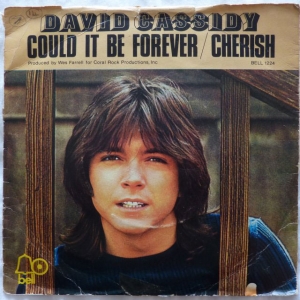 Could It Be Forever / Cherish Image