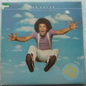 Endless Flight Image