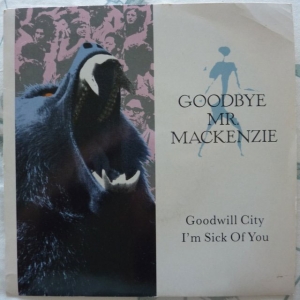 Goodwill City / I'm Sick Of You Image