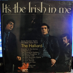 It's The Irish In Me  Image