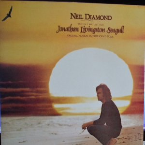 Jonathan Livingston Seagull Image