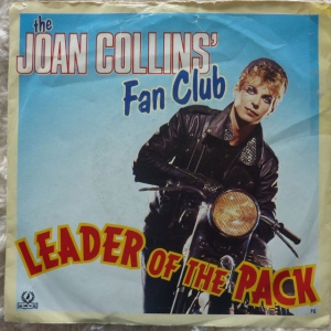 Leader Of The Pack Image