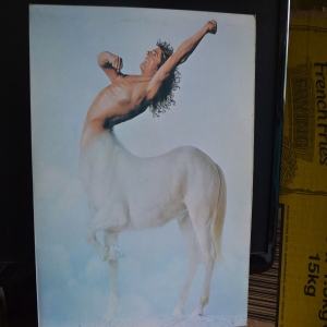 Ride A Rock Horse  Image
