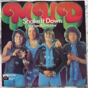 Shake It Down Image