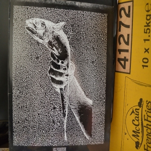 Silverfish EP Image