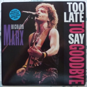 Too Late To Say Goodbye Image