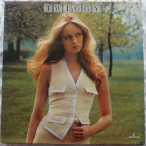 Twiggy Image