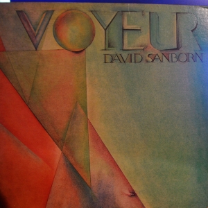 Voyeur Image