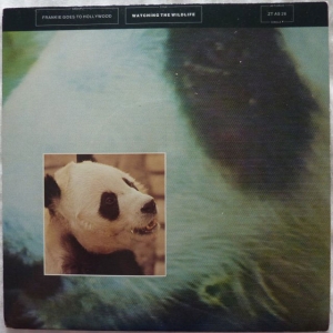 Watching The Wildlife Image