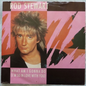 What Am I Gonna Do (I'm So In Love With You) Image