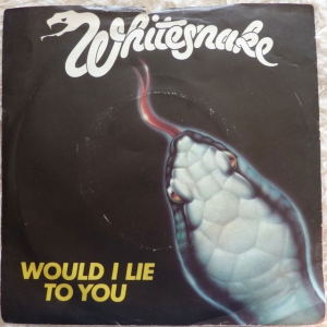 Would I Lie To You Image